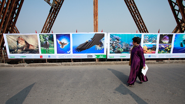 Ngắm 'Cầu rồng kể chuyện ngàn năm' ảnh 11 Ngắm 'Cầu rồng kể chuyện ngàn năm' ảnh 11