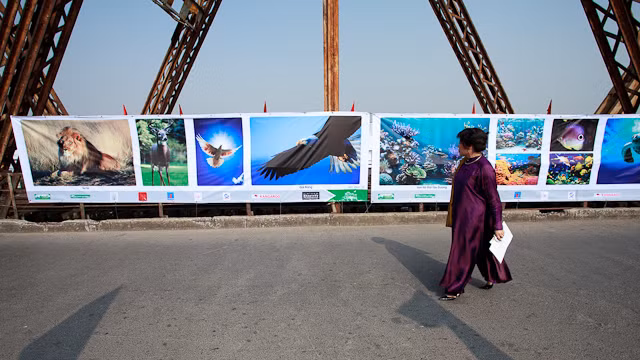 Ngắm 'Cầu rồng kể chuyện ngàn năm' ảnh 11