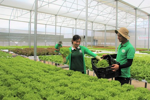 Năm 2018: Quyết liệt đảm bảo an toàn thực phẩm ảnh 6