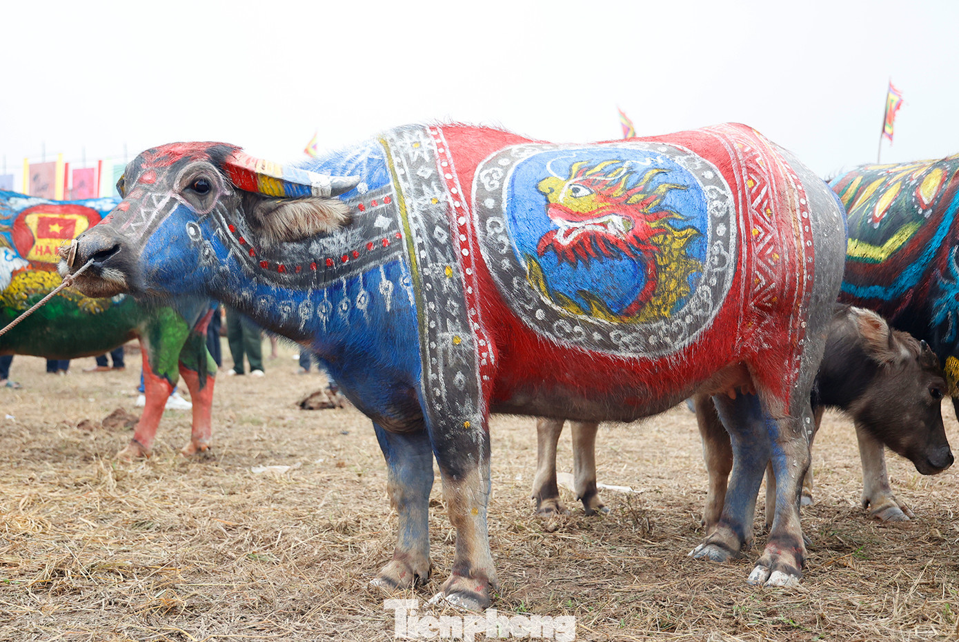 Trước đó ngày 15/2 (mùng 6 tháng Giêng năm Giáp Thìn), tại cánh đồng Đọi Tín thuộc xã Tiên Sơn, thị xã Duy Tiên, tỉnh Hà Nam diễn ra Hội thi vẽ trang trí trâu Lễ hội Tịch điền Đọi Sơn năm 2024.