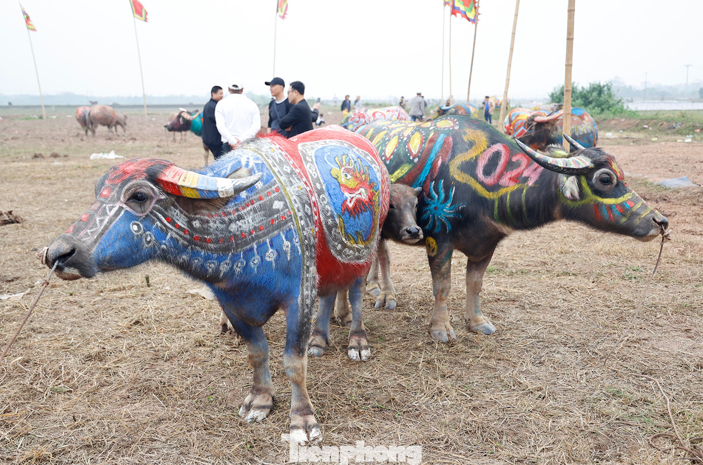 Hội thi vẽ trang trí trâu Lễ hội Tịch điền Đọi Sơn đã làm nên nét văn hóa độc đáo, tiếp nối truyền thống mà vẫn mang hơi thở đương đại, góp phần khuyến khích, cổ vũ phát triển nông nghiệp, xây dựng nông thôn mới.