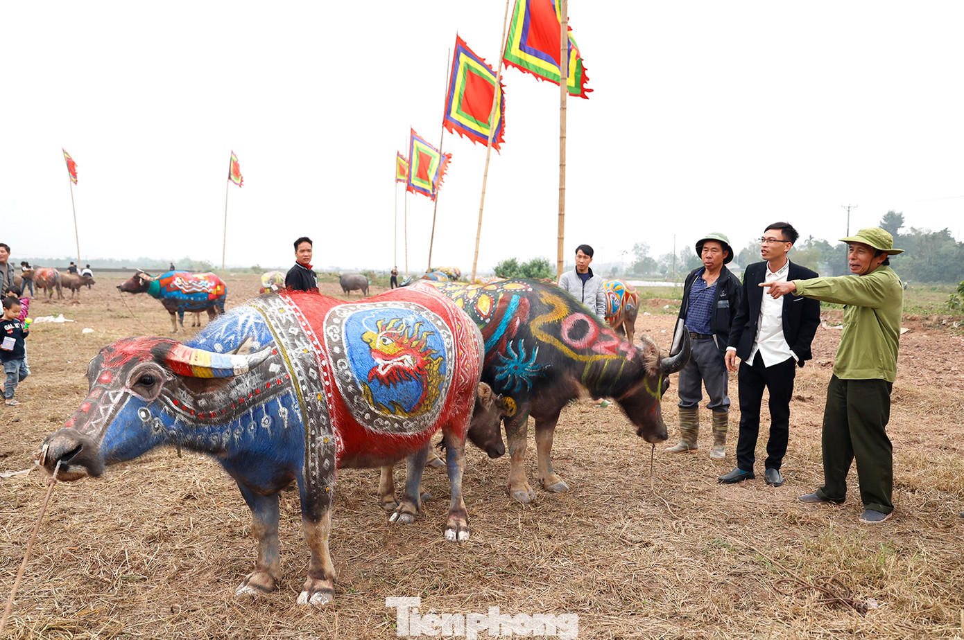 Tham gia hội thi có 20 họa sĩ, nhóm họa sĩ đến từ Hội Văn học nghệ thuật tỉnh Hà Nam cùng nhiều tỉnh, thành phố trong khu vực.