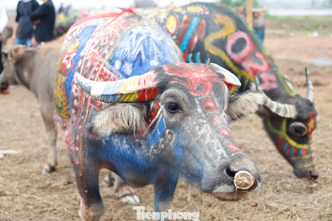 Hội thi được tổ chức thường niên vào dịp đầu năm mới để khởi đầu, đánh dấu một năm mới với những ước vọng mới, có ý nghĩa như việc khai bút tân xuân với những họa tiết và gam màu tươi sáng ẩn chứa những điều mong ước tốt đẹp.