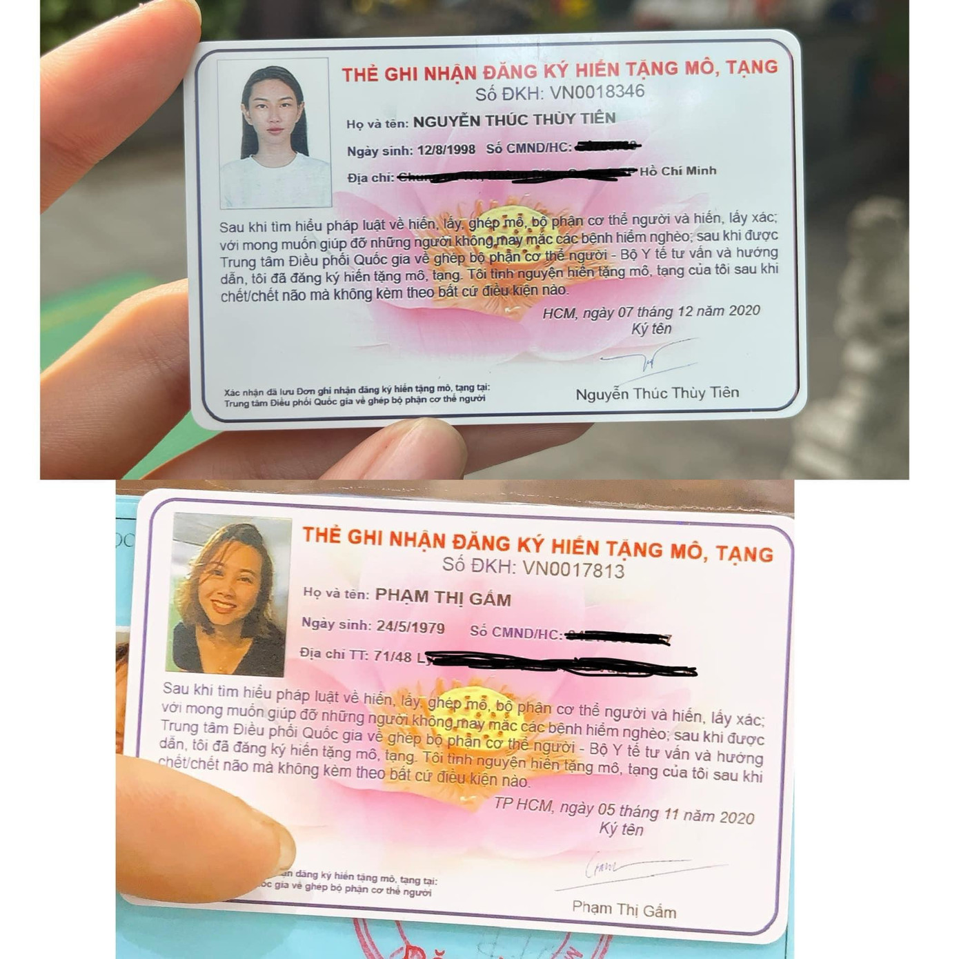 Thuỳ Tiên chia sẻ: &quot;Vì đâu đó trong vô thức, tôi nhận ra sự kết thúc của mình có ý nghĩa. 1 người hiến tạng có thể cứu sống trung bình từ 8-10 bệnh nhân&quot;.