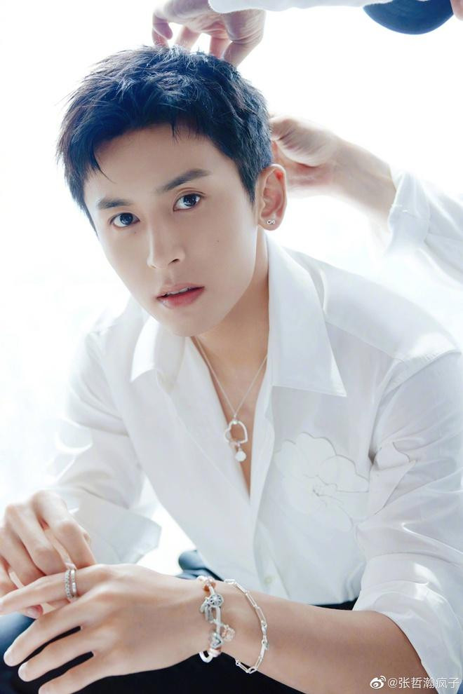 Nam diễn viên Trương Triết Hạn. Ảnh: Sina.