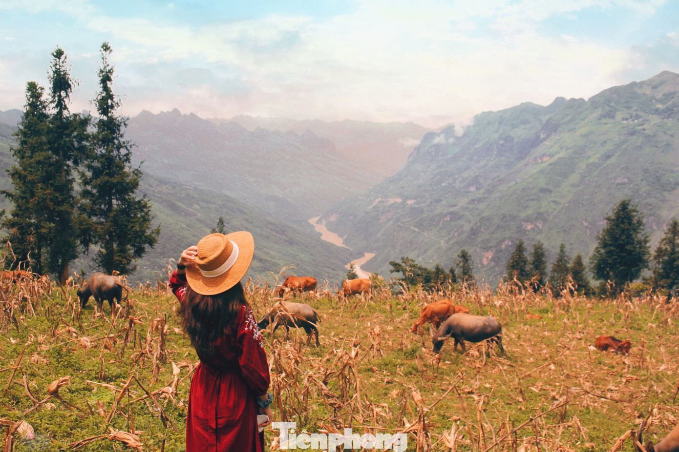 Bên cạnh thảo nguyên Suôi Thầu, du khách có thể kết hợp trải nghiệm một số cung đường với các danh lam, thắng cảnh nổi tiếng ở Xín Mần như: Hang Thiên Thủy (Nàn Ma), Thác Tiên – Đèo Gió (Nấm Dẩn), suối khoáng nóng Nậm Choong (Quảng Nguyên)… Bên cạnh thảo nguyên Suôi Thầu, du khách có thể kết hợp trải nghiệm một số cung đường với các danh lam, thắng cảnh nổi tiếng ở Xín Mần như: Hang Thiên Thủy (Nàn Ma), Thác Tiên – Đèo Gió (Nấm Dẩn), suối khoáng nóng Nậm Choong (Quảng Nguyên)…