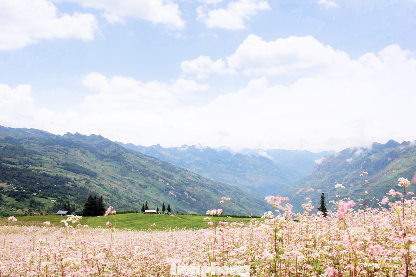 Bên cạnh thảo nguyên Suôi Thầu, du khách có thể kết hợp trải nghiệm một số cung đường với các danh lam, thắng cảnh nổi tiếng ở Xín Mần như: Hang Thiên Thủy (Nàn Ma), Thác Tiên – Đèo Gió (Nấm Dẩn), suối khoáng nóng Nậm Choong (Quảng Nguyên)… Bên cạnh thảo nguyên Suôi Thầu, du khách có thể kết hợp trải nghiệm một số cung đường với các danh lam, thắng cảnh nổi tiếng ở Xín Mần như: Hang Thiên Thủy (Nàn Ma), Thác Tiên – Đèo Gió (Nấm Dẩn), suối khoáng nóng Nậm Choong (Quảng Nguyên)…