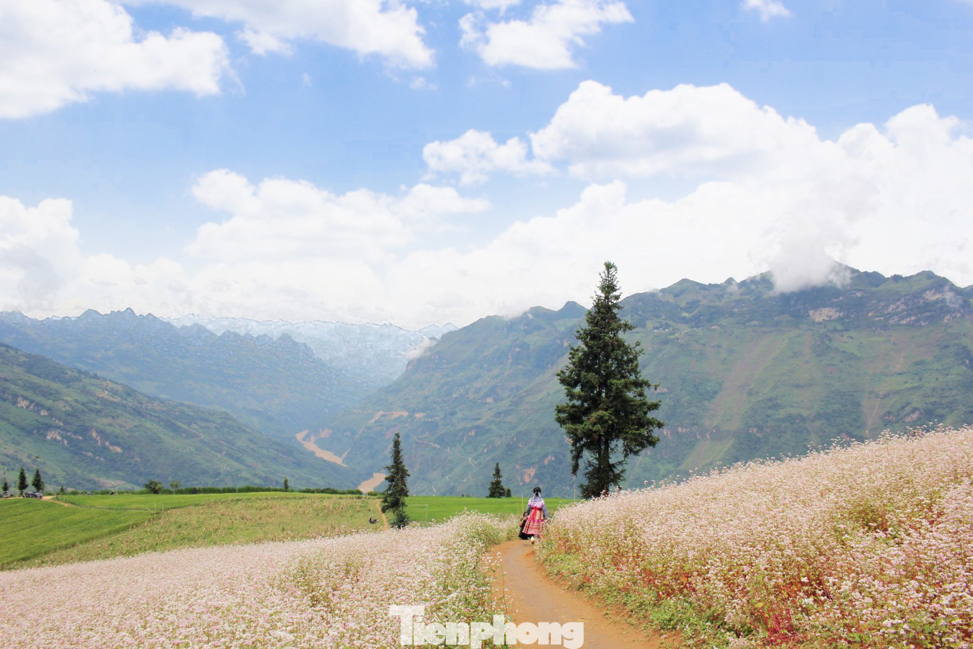 Những năm gần đây, Suôi Thầu được biết đến là một trong những thảo nguyên đẹp bậc nhất Việt Nam, có diện tích hơn 90 ha, nằm ở độ cao hơn 1.200 m so với mực nước biển, mang vẻ đẹp hoang sơ mà hùng vĩ của vùng đất địa đầu Tổ quốc. Những năm gần đây, Suôi Thầu được biết đến là một trong những thảo nguyên đẹp bậc nhất Việt Nam, có diện tích hơn 90 ha, nằm ở độ cao hơn 1.200 m so với mực nước biển, mang vẻ đẹp hoang sơ mà hùng vĩ của vùng đất địa đầu Tổ quốc.