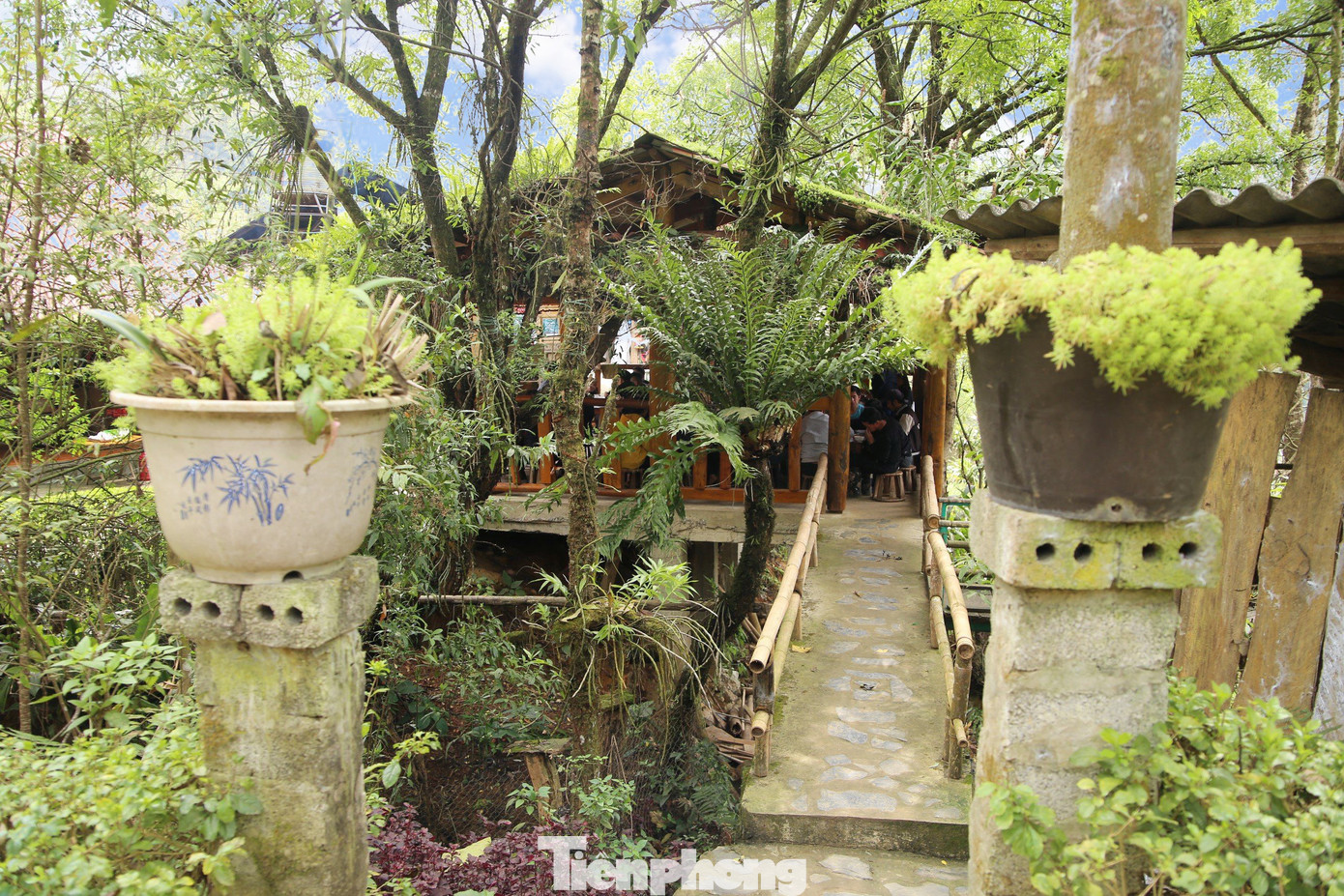 Chia sẻ với Tiền Phong, trưởng bản Vàng A Chỉnh cho biết: Phương hướng của Sin Suối Hồ những năm tới là phát triển du lịch canh nông, vừa làm du lịch vừa làm nông nghiệp. Làm du lịch theo hướng bám sát bản sắc văn hóa của dân tộc... Do đó, bà con nơi đây hi vọng sẽ ngày càng nhận được sự ủng hộ và yêu mến của du khách trong và ngoài nước...