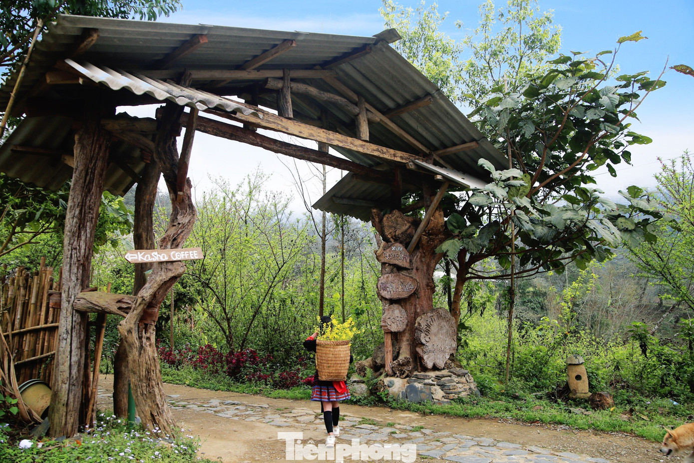 Tới du lịch Sin Suối Hồ, du khách sẽ được đắm chìm trong không gian văn hóa, nghệ thuật độc đáo của bà con người Mông nơi đây.