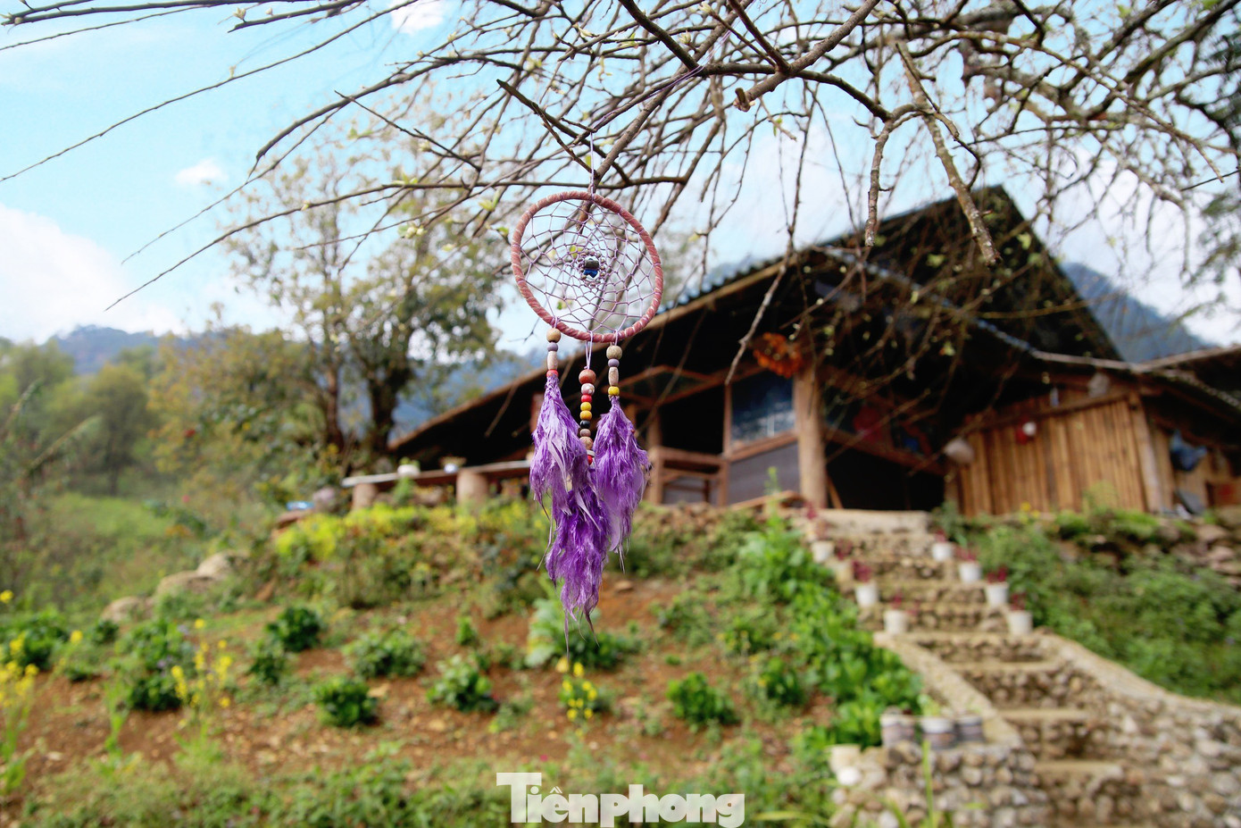 Bà con Sin Suối Hồ dùng chính những nếp nhà Mông truyền thống của mình để làm du lịch. Do đó, du khách có thể vào bất kì ngôi nhà nào trong bản để thăm quan cũng như tìm hiểu nếp sống sinh hoạt của họ.