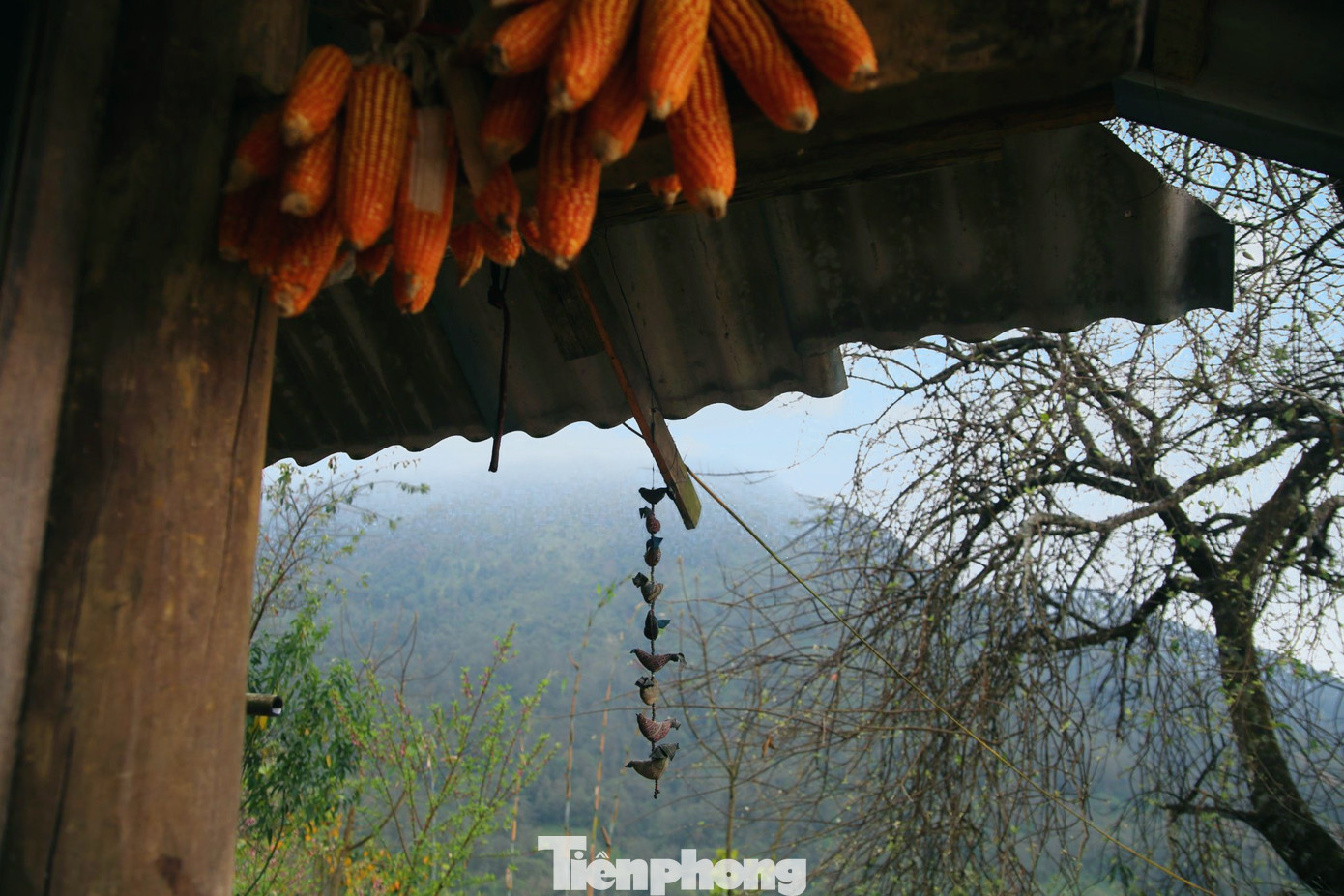 Bà con Sin Suối Hồ dùng chính những nếp nhà Mông truyền thống của mình để làm du lịch. Do đó, du khách có thể vào bất kì ngôi nhà nào trong bản để thăm quan cũng như tìm hiểu nếp sống sinh hoạt của họ.