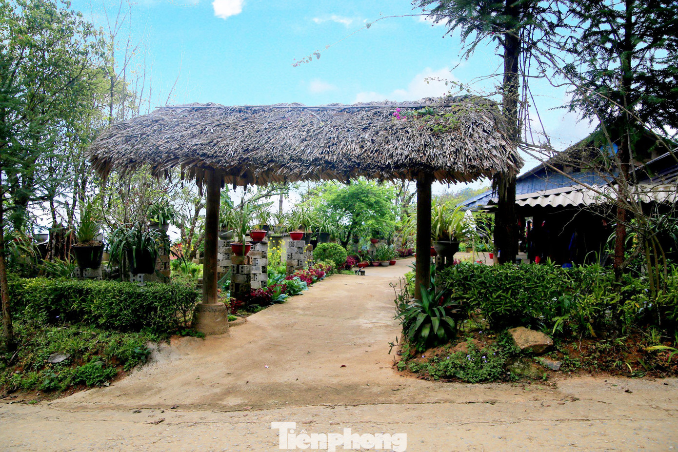 Bà con Sin Suối Hồ dùng chính những nếp nhà Mông truyền thống của mình để làm du lịch. Do đó, du khách có thể vào bất kì ngôi nhà nào trong bản để thăm quan cũng như tìm hiểu nếp sống sinh hoạt của họ.