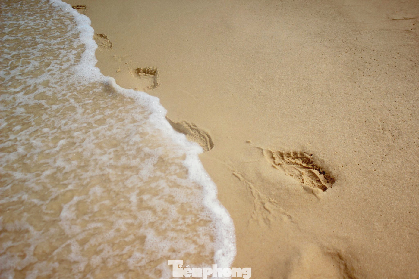 Đến Kỳ Co, du khách còn có thể theo thuyền thúng của ngư dân ra Bãi Dứa ngắm san hô và thời gian lý tưởng để du lịch Kỳ Co là từ tháng 4 đến tháng 9 bởi đây là thời điểm ít bão và lòng biển kín gió.