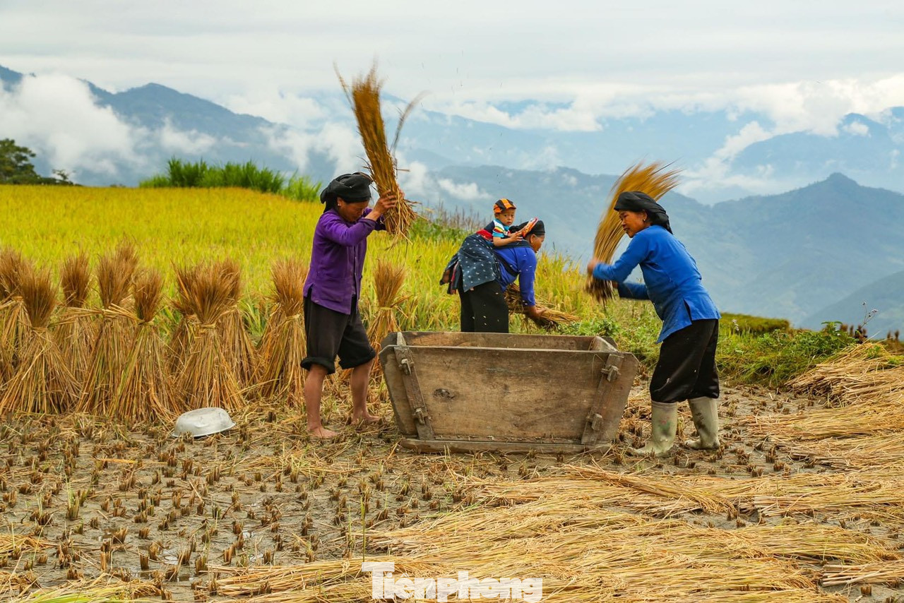 Nấm Dẩn còn được ví như cái nôi của người Nùng cổ, do đó khi đến đây, du khách sẽ bắt gặp nhiều bà con người Nùng đang gặt và đập lúa trên những thửa ruộng bậc thang. Nấm Dẩn còn được ví như cái nôi của người Nùng cổ, do đó khi đến đây, du khách sẽ bắt gặp nhiều bà con người Nùng đang gặt và đập lúa trên những thửa ruộng bậc thang.