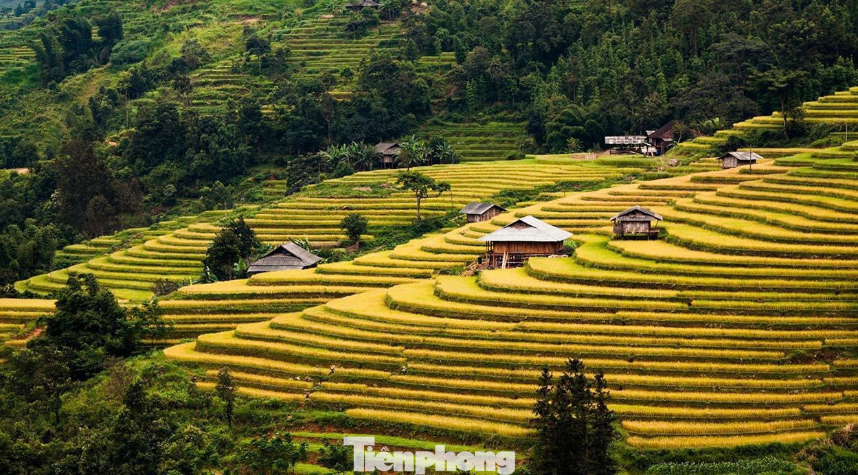 Dọc theo con suối, những mái nhà sàn thấp thoáng dưới lớp mây trắng bên cạnh các thửa ruộng bậc thang vàng óng ánh. Dọc theo con suối, những mái nhà sàn thấp thoáng dưới lớp mây trắng bên cạnh các thửa ruộng bậc thang vàng óng ánh.