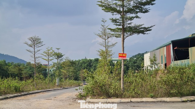 Chuyên gia nhận định giá đất nền có thể sẽ sớm bước vào chu kỳ điều chỉnh tăng từ quý II khi thị trường xuất hiện làn sóng săn mua đất nền từ nhóm đầu tư “cá mập”. Chuyên gia nhận định giá đất nền có thể sẽ sớm bước vào chu kỳ điều chỉnh tăng từ quý II khi thị trường xuất hiện làn sóng săn mua đất nền từ nhóm đầu tư “cá mập”.