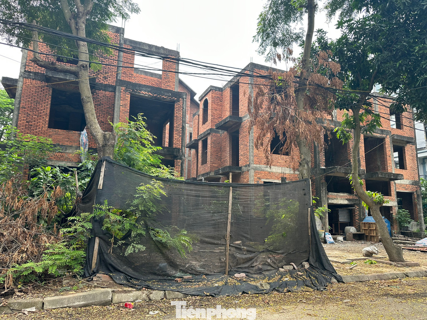 Nhiều biệt thự trong Khu đô thị Đồng Xép bỏ hoang lâu năm, tiện ích và hạ tầng không đầy đủ, sân chơi không có người chăm sóc, cắt tỉa, cỏ dại mọc um tùm. (Ảnh: Lập Đông)