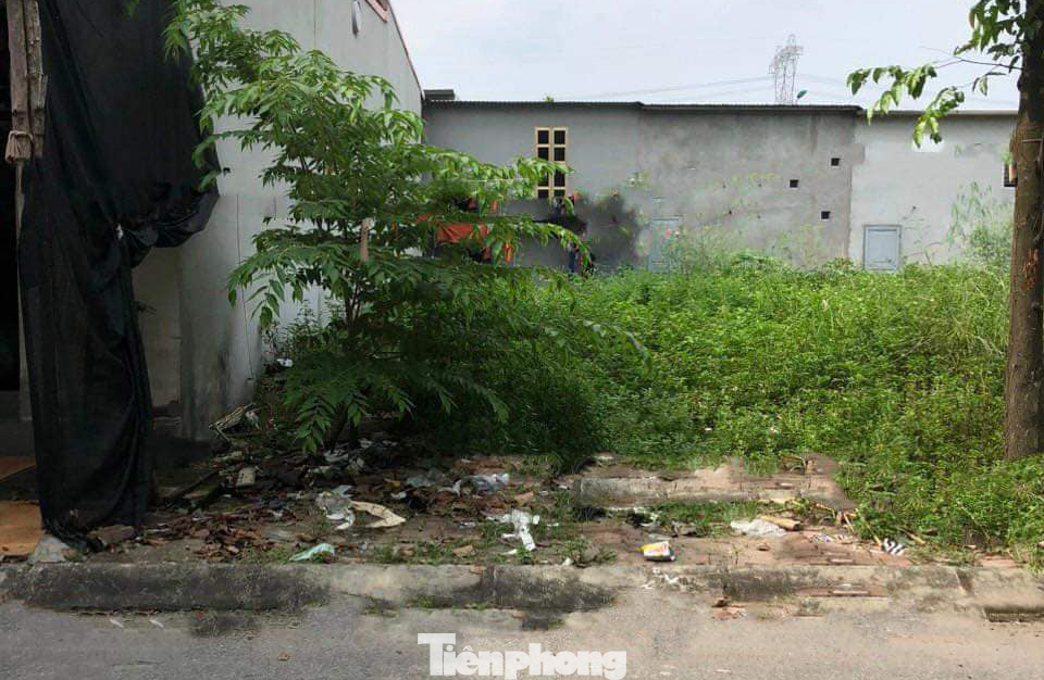 Mặc dù thị trường không quá biến động nhưng Gia Lâm vẫn có nhiều nội lực để phát triển trong tương lai.