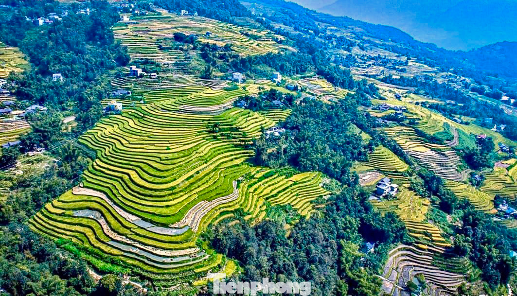 “Bậc thang vắt vẻo dát vàng. Vào vụ lúa chín rộn ràng mùa trao. Bức tranh đẹp nhất vùng cao. Đất trời khoáng đạt quyện vào tiết thu”, đó là câu hát mà nhiều du khách sẽ dễ dàng nghe được nếu lên xã Bản Díu hay xã Nấm Dẩn (Xín Mần, Hà Giang) mùa lúa chín này. “Bậc thang vắt vẻo dát vàng. Vào vụ lúa chín rộn ràng mùa trao. Bức tranh đẹp nhất vùng cao. Đất trời khoáng đạt quyện vào tiết thu”, đó là câu hát mà nhiều du khách sẽ dễ dàng nghe được nếu lên xã Bản Díu hay xã Nấm Dẩn (Xín Mần, Hà Giang) mùa lúa chín này.