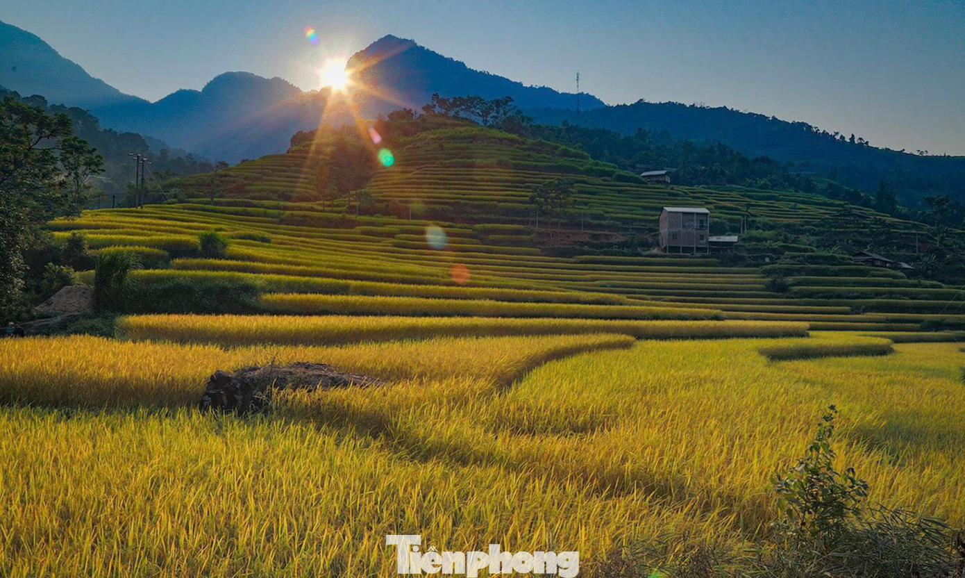 Nhiều du khách khi đến Nấm Dẩn đã phải thốt lên rằng, mùa Thu đã khiến Nấm Dẩn bỗng chốc biến hóa thành nàng sơn nữ kiều diễm, lung linh sắc màu và đây được coi là một trong những tọa độ check-in ruộng bậc thang đẹp nhất Hà Giang. Nhiều du khách khi đến Nấm Dẩn đã phải thốt lên rằng, mùa Thu đã khiến Nấm Dẩn bỗng chốc biến hóa thành nàng sơn nữ kiều diễm, lung linh sắc màu và đây được coi là một trong những tọa độ check-in ruộng bậc thang đẹp nhất Hà Giang.