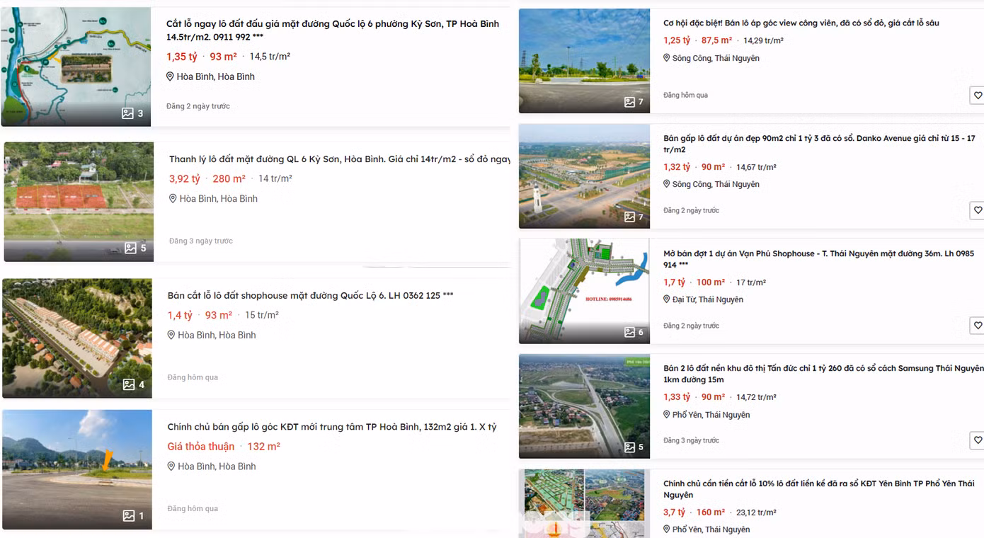 Nhà đầu tư liên tục đăng tin thanh lý và bán cắt lỗ đất nền. (Ảnh Lộc Liên)