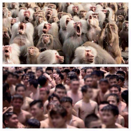 Giật mình với những bức ảnh chế ở công viên nước ảnh 12