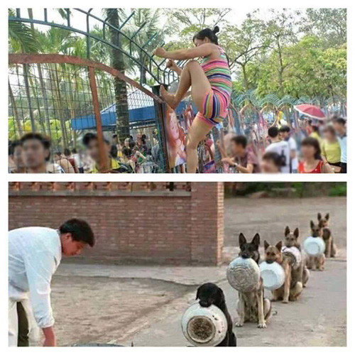 Giật mình với những bức ảnh chế ở công viên nước ảnh 13