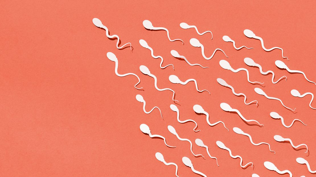 Những người từng mắc COVID-19 và đang gặp khó khăn trong việc thụ thai nên cân nhắc làm xét nghiệm để đánh giá số lượng tinh trùng và khả năng di chuyển của chúng. Những người từng mắc COVID-19 và đang gặp khó khăn trong việc thụ thai nên cân nhắc làm xét nghiệm để đánh giá số lượng tinh trùng và khả năng di chuyển của chúng.