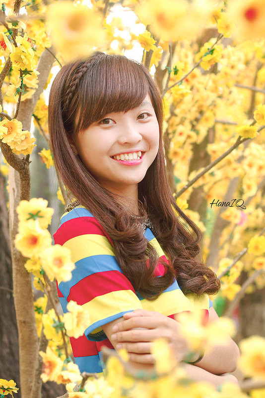 Cuộc thi Ảnh “Khoảnh khắc Xuân”: Mai vàng sắc xuân ảnh 1