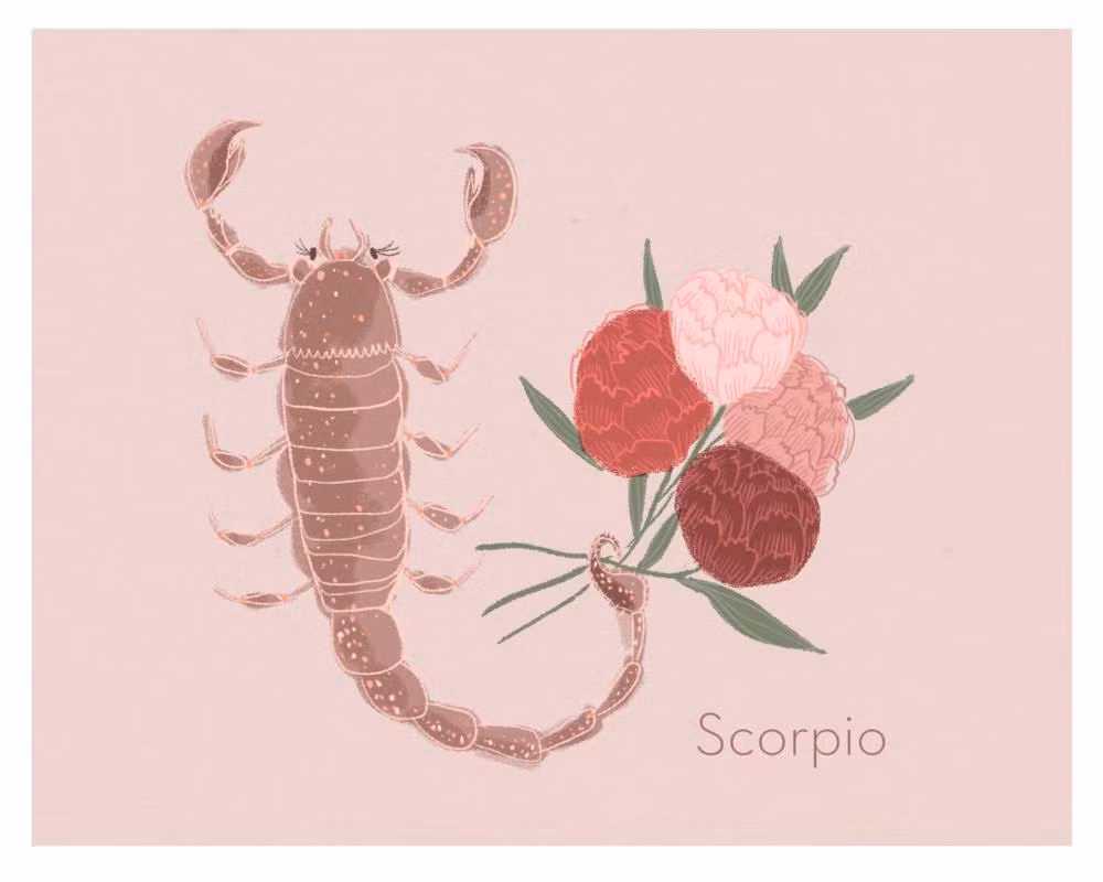 FlorascopeScorpio-1000x800.jpg