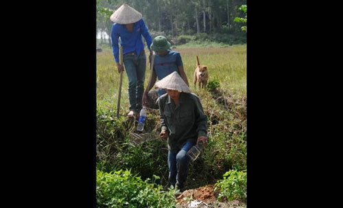 Những người nông dân mang theo bẫy chuột và chó để đi săn tại Hoài Đức, ngoại ô Hà Nội