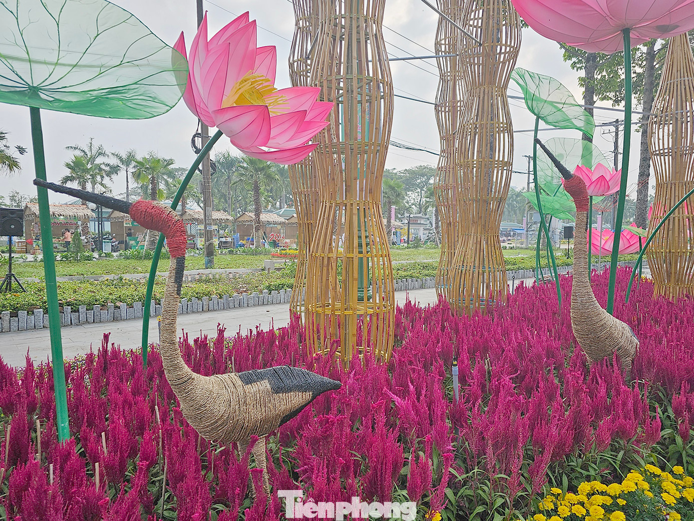 Sếu đầu đỏ được tái hiện tại đường hoa xuân. Ảnh: Hòa Hội