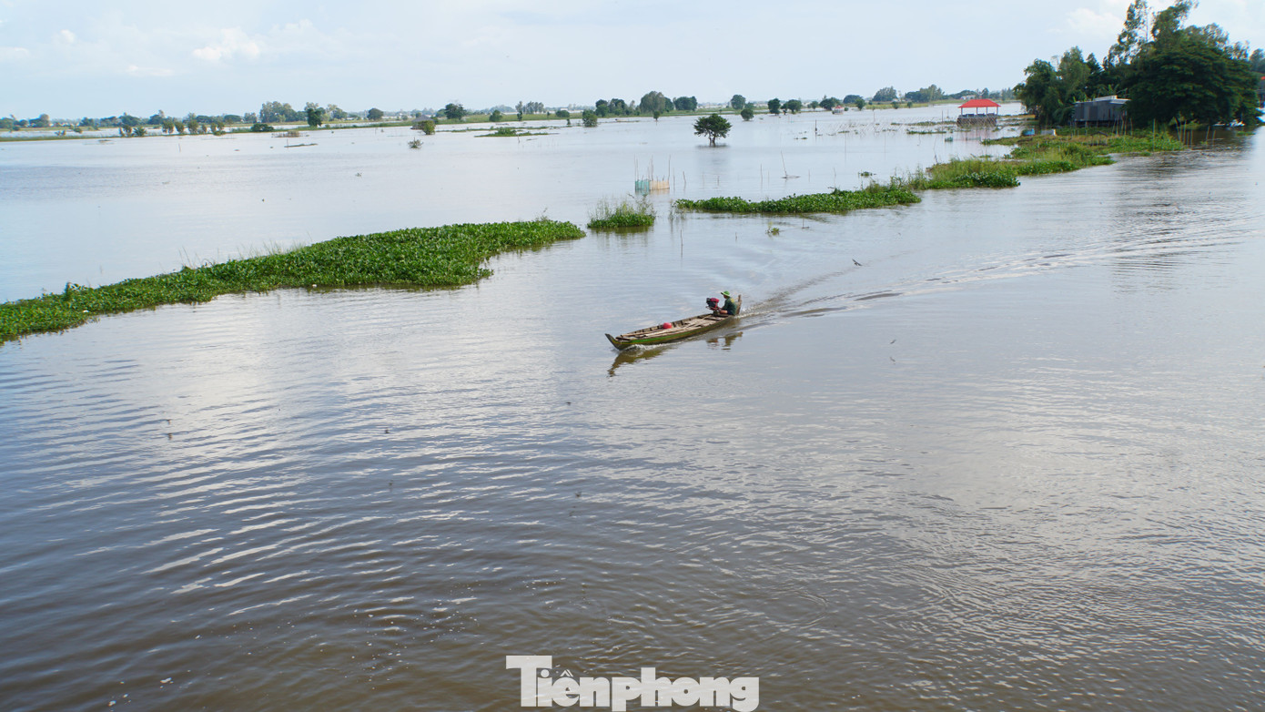 Cánh đồng nước mênh mông ở vùng biên giới An Giang. Ảnh: Hòa Hội.