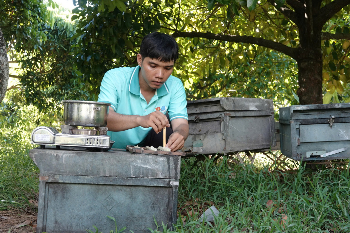 Anh Trọng đúc nụ ong chúa