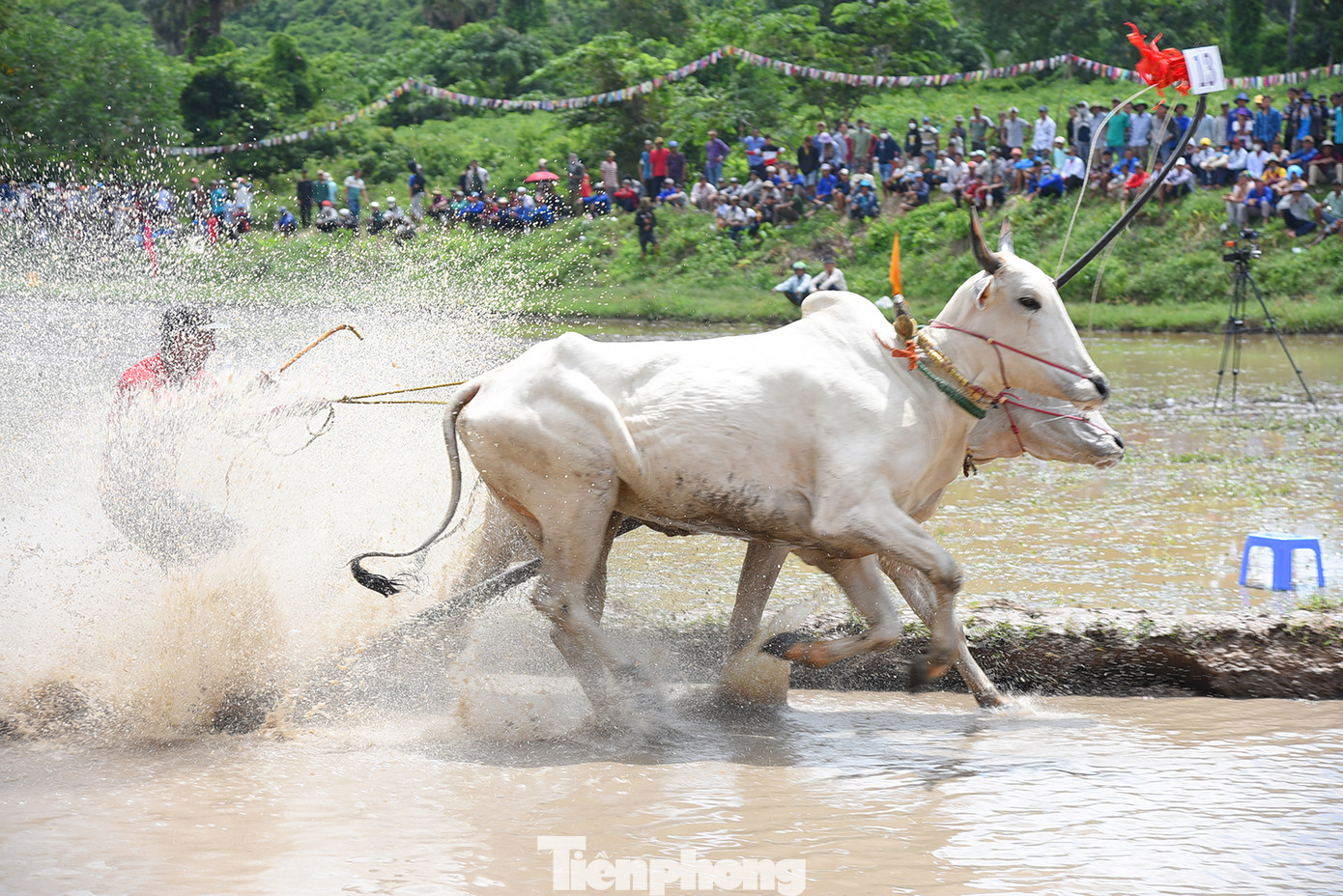 Hội đua bò chùa Rô cũng chào mừng Lễ Sen Dolta 2023 - một trong ba Tết cổ truyền của đồng bào dân tộc Khmer. Đây còn gọi là lễ cúng ông bà, nhằm tưởng nhớ đến công ơn và cầu phước cho linh hồn của các bậc sinh thành, những người trong thân tộc quá cố và tri ân tổ tiên đã khai phá đất đai, phù hộ cho phum, sóc được bình an, thịnh vượng. Ảnh: Hoà Hội.