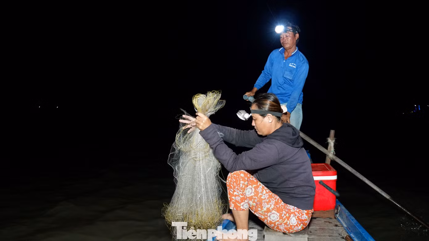 Gần 3h sáng, trời còn tối mịt, mọi người bắt đầu tỏa đi nhiều hướng trên đồng mênh mông chỉ có nước để bủa lưới. Trong ảnh, vợ chồng ông Lê Văn Thuận và bà Trương Ngọc Hiền bủa lưới. Ông Thuận đầu đội đèn pin đứng phía sau chèo xuồng rọi cho vợ ngồi bủa lưới phía đầu xuồng. Bà Hiền thoăn thoắt bủa từ tay lưới này đến tay lưới khác thuần thục. Ảnh: Hòa Hội.