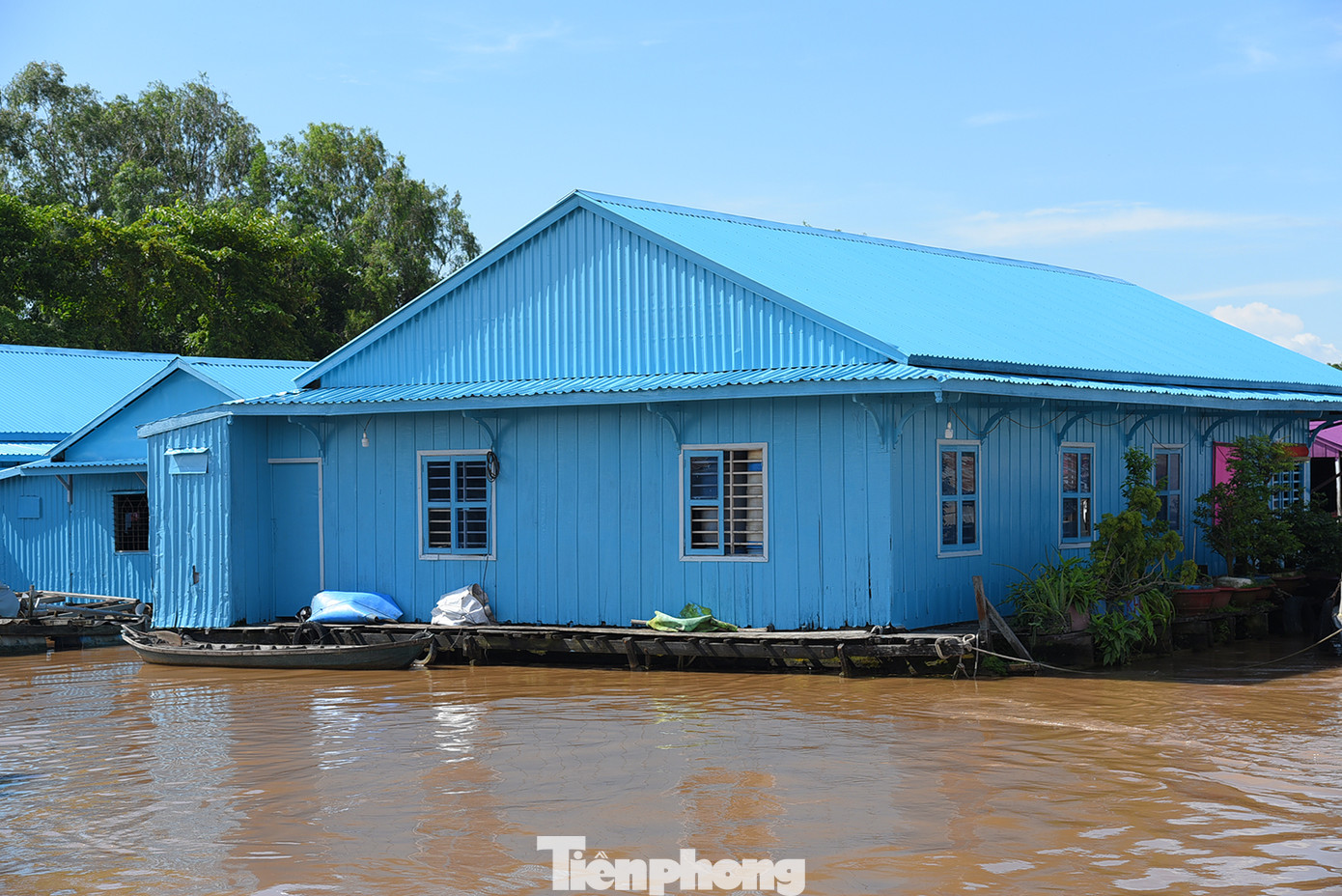 Du khách đến với làng bè Châu Đốc sẽ đi đường sông từ Châu Đốc tham quan làng bè đa sắc màu, trải nghiệm cuộc sống làng bè, cách người dân nuôi trồng thủy sản trong lồng bè. Ảnh: Hòa Hội.