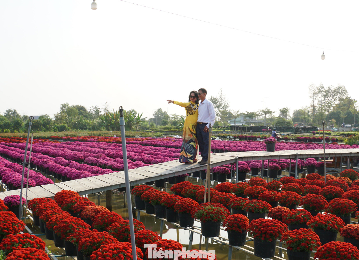 Du khách chụp ảnh bên vườn hoa. Ảnh: Hòa Hội