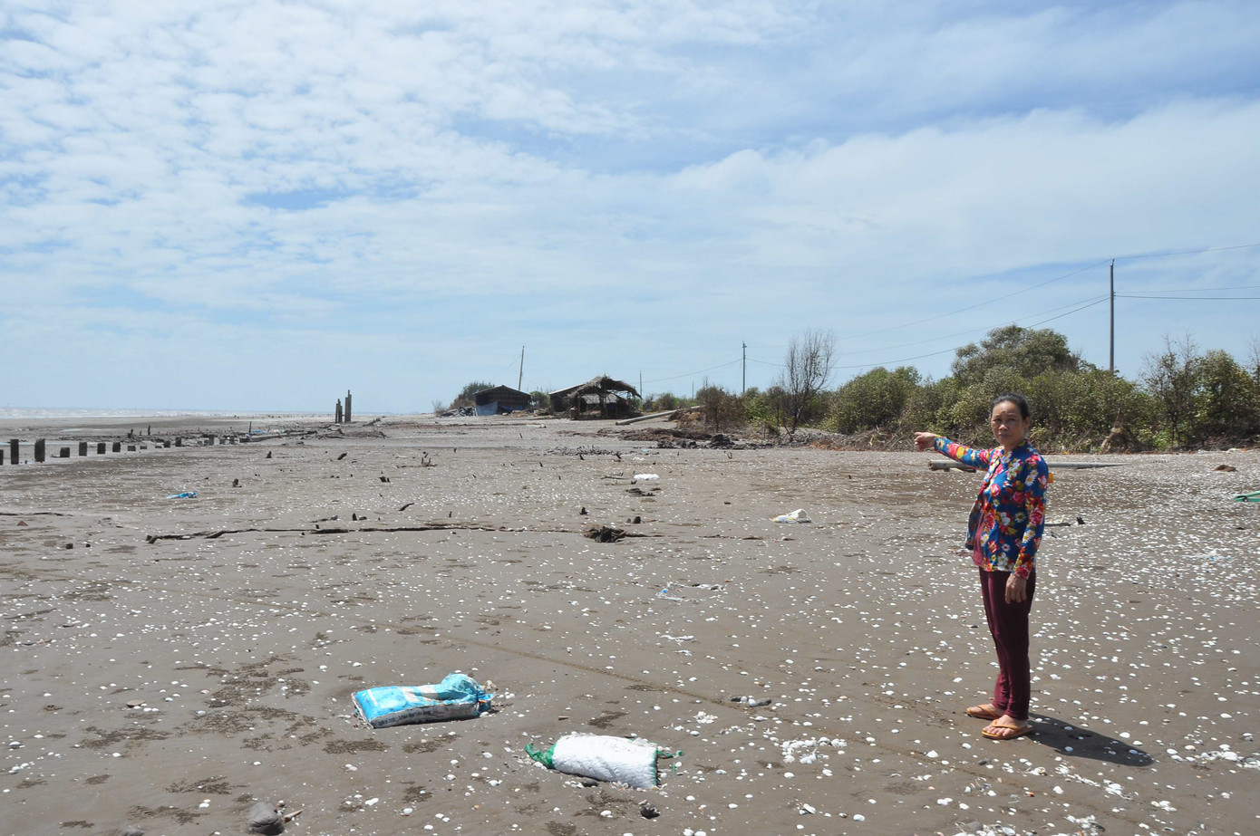 Bờ biển tại Bến Tre bị xâm thực ngày càng nhiều. Ảnh: Hòa Hội