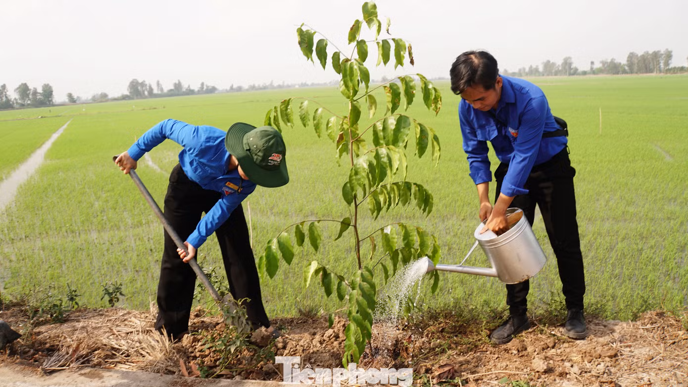 Các bạn áo xanh tình nguyện góp phần xây dựng nông thôn mới kiểu mẫu tại xã Trung Hưng. Ảnh: Hòa Hội