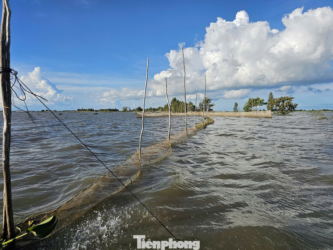 Thời điểm này đang vào chính vụ lũ 2024, nước nổi tràn ngập khắp cánh đồng ở khu vực biên giới Tây Nam. Ảnh: Hòa Hội