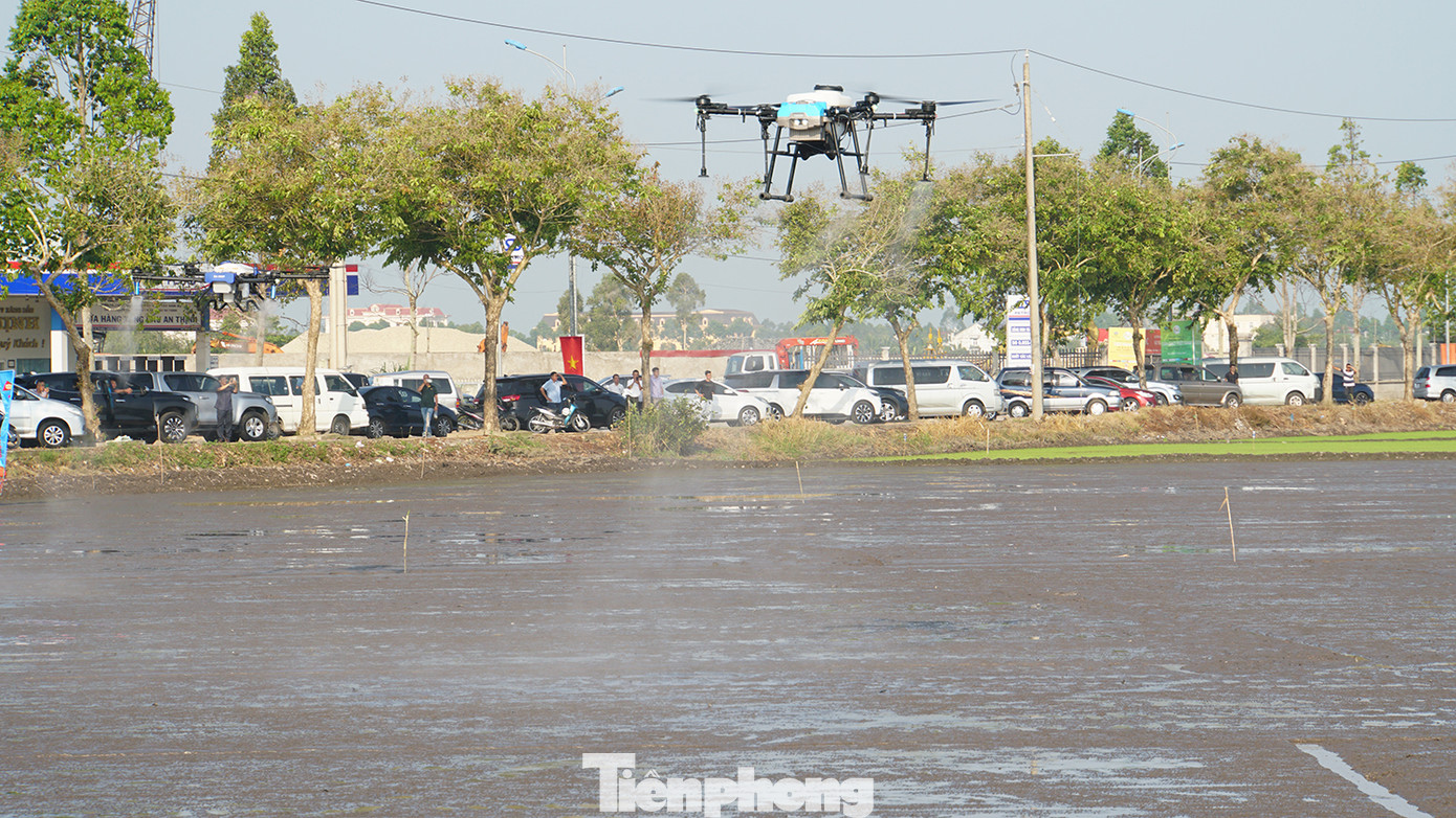 Thiết bị không người lái phun thuốc trên cánh đồng. Ảnh: Hòa Hội.