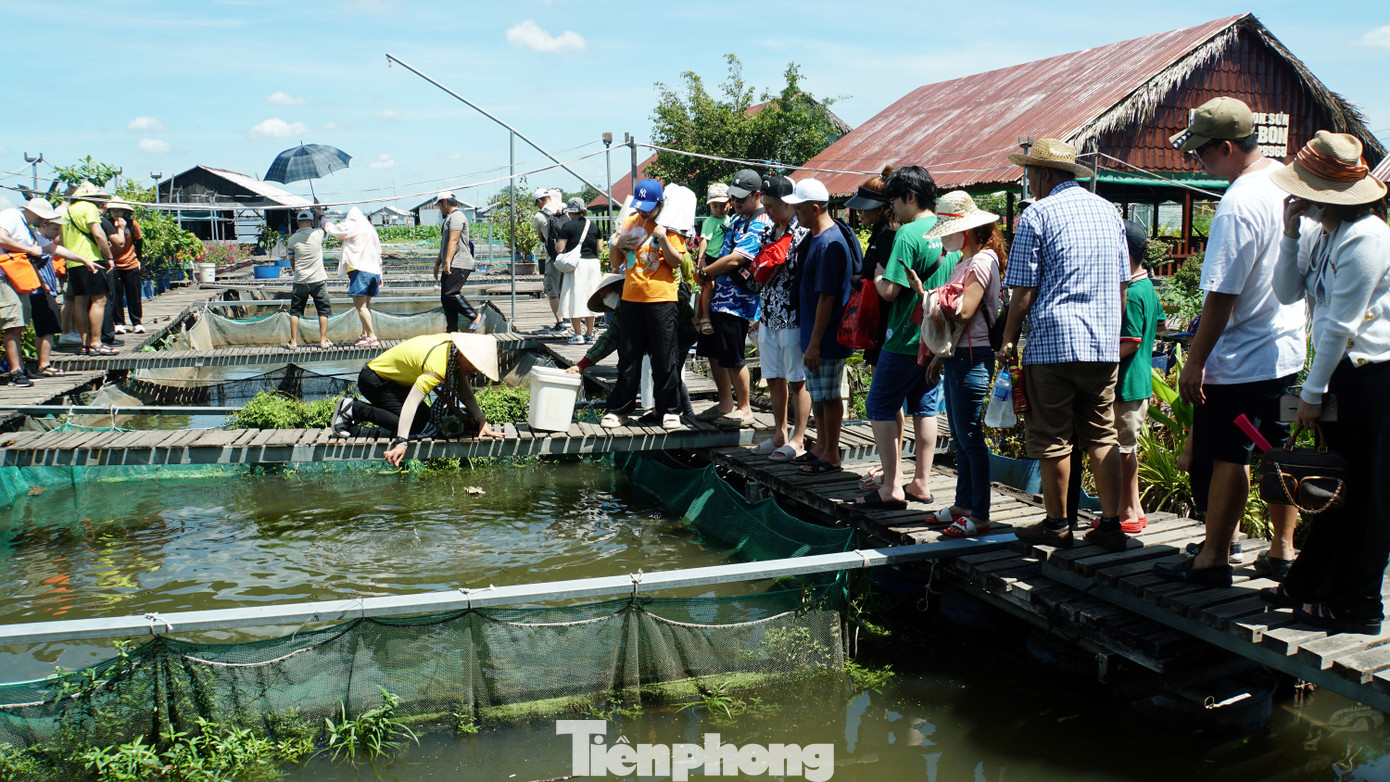 Khách trải nghiệm loài cá “tên lửa” với kỹ năng phun nước mạnh bắn vào con mồi xa cả mét cách mặt nước, nước bắn ra làm cho con mồi ướt cánh, bị thương rơi xuống nước thành mồi cho cá. Ảnh: Hòa Hội. Khách trải nghiệm loài cá “tên lửa” với kỹ năng phun nước mạnh bắn vào con mồi xa cả mét cách mặt nước, nước bắn ra làm cho con mồi ướt cánh, bị thương rơi xuống nước thành mồi cho cá. Ảnh: Hòa Hội.