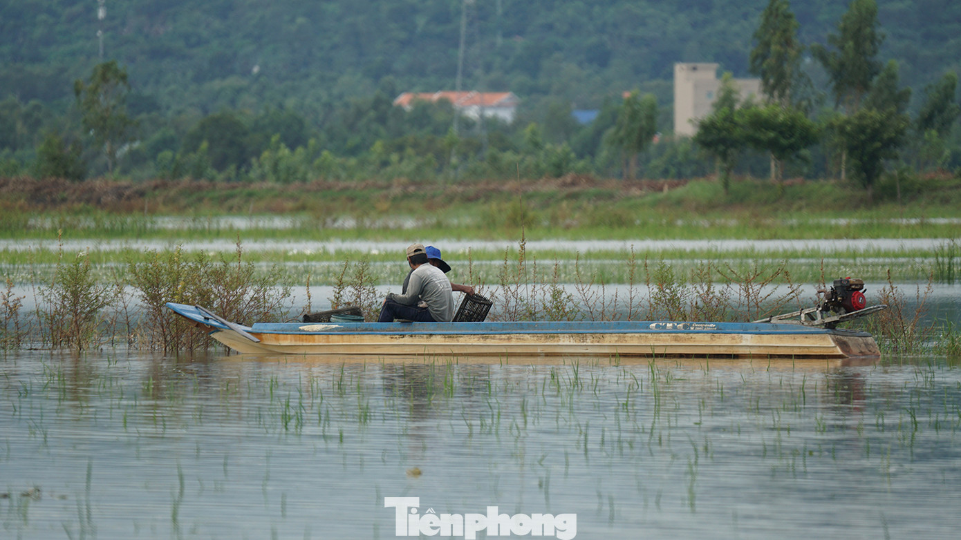 Người dân đặt lợp bắt cá ngoài đồng. Ảnh: Hòa Hội.