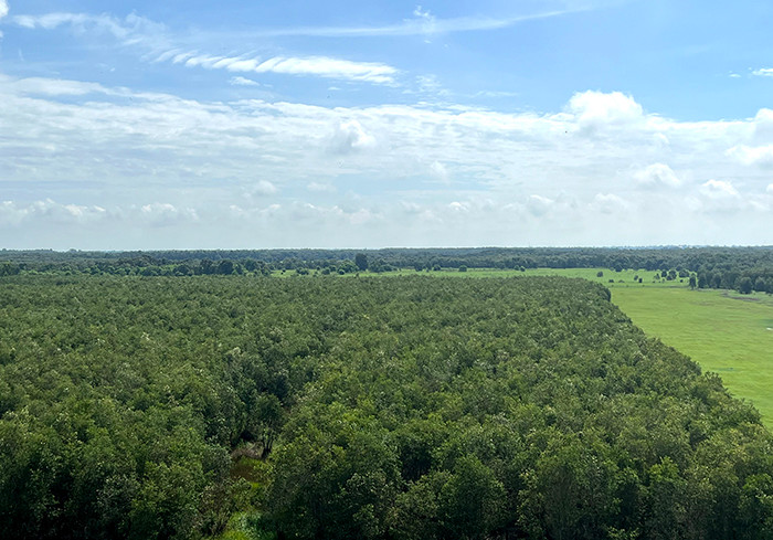 Vườn quốc gia Tràm Chim có có thảm thực vật phong phú với diện tích 7.500 ha. Ảnh: V. Tiến Vườn quốc gia Tràm Chim có có thảm thực vật phong phú với diện tích 7.500 ha. Ảnh: V. Tiến