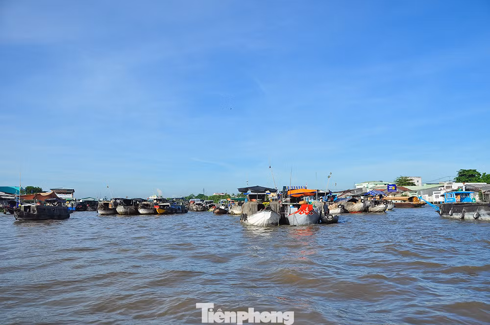 Chợ nổi Cái Răng (quận Cái Răng, thành phố Cần Thơ) được hình thành từ tập quán sinh hoạt của người dân địa phương gắn liền với sông nước, tạo nên giá trị văn hóa đặc sắc, được công nhận là một trong những di sản văn hóa phi vật thể quốc gia. Chợ cũng được tạp chí uy tín của Mỹ bình chọn “là một trong 10 khu chợ nổi nhộn nhịp nhất thế giới” và nằm trong “top 6 chợ nổi đẹp nhất châu Á”, là một trong những điểm đến hàng đầu của du khách khi đến với Cần Thơ. Ảnh: Hòa Hội.