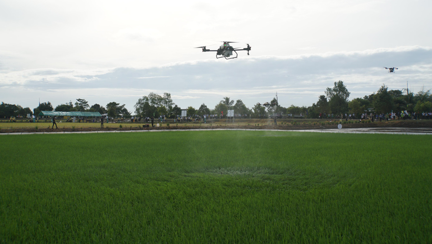 Máy bay không người lái phun thuốc bảo vệ thực vật trên đồng. Ảnh: Hòa Hội