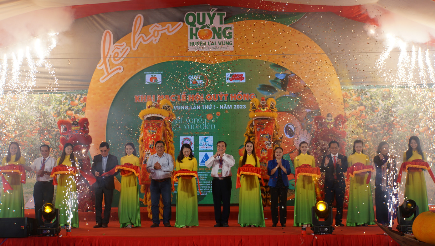 Lai Vung từ lâu đã được biết đến là vùng cây lành, trái ngọt, đặc biệt là quýt hồng - đặc sản nổi tiếng cả nước. Cây quýt hồng được trồng ở đất Lai Vung đầu thế kỷ 20. Ban đầu từ một loại quýt bình thường, nhưng khi được trồng trên đất Lai Vung, giống quýt này trở nên đặc biệt. Với khí hậu và thổ nhưỡng phù hợp đã khiến quýt hồng Lai Vung cho những trái to, ít hạt, vỏ mỏng, màu sắc vàng cam bắt mắt, mọng nước, thơm dịu và có vị ngọt, chua nhẹ đặc biệt ít nơi nào bì kịp. Ảnh: Hòa Hội