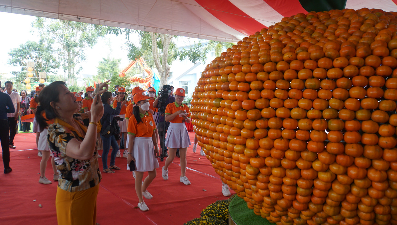 Người dân chụp ảnh quýt hồng khổng lồ tại ngày hội.